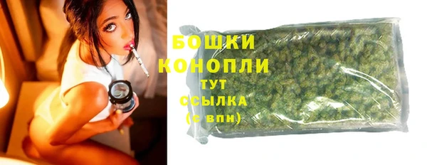 спайс Ладушкин
