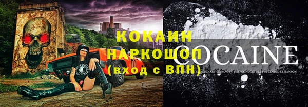 спайс Ладушкин