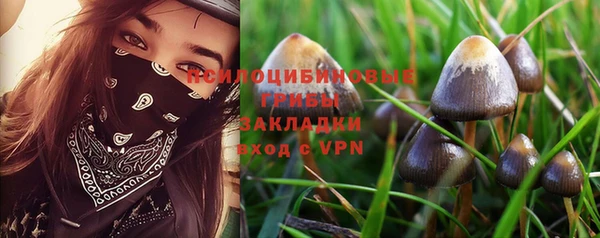 альфа пвп Богородицк