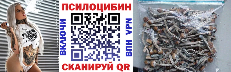 где найти   Партизанск  Галлюциногенные грибы Magic Shrooms 
