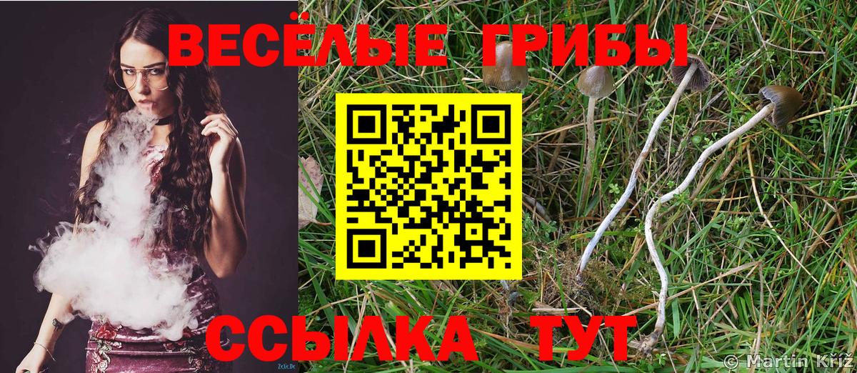 Галлюциногенные грибы прущие грибы Партизанск
