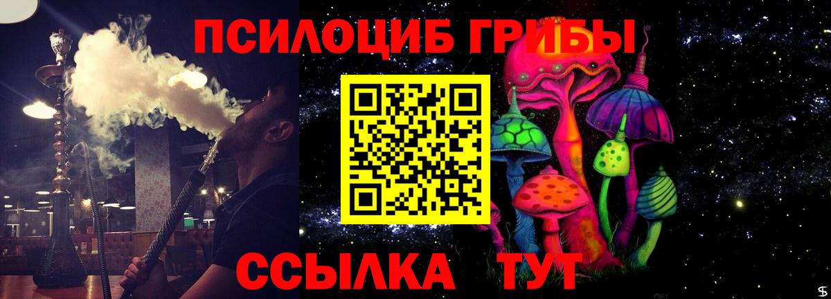Псилоцибиновые грибы мицелий Партизанск